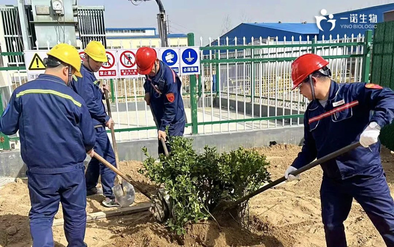 共植綠色未來,化工企業(yè)植樹活動,環(huán)保,綠色工廠